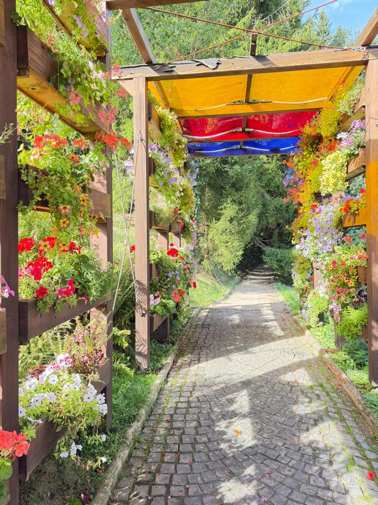 Gartenfreunde Trossingen eV Ausflug 2026 (3) Gartenfreunde Trossingen e. V. Ausflug 2024 Blühnede Barock Ludwigsburg